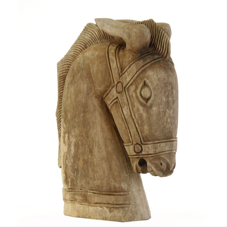 Buste Caballo